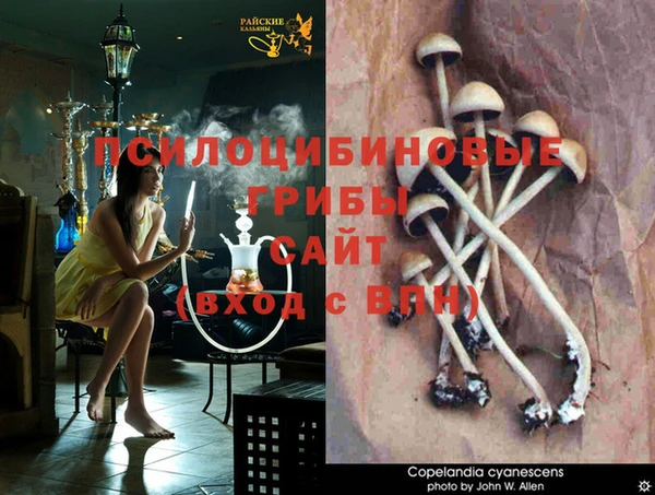 тгк Вязники