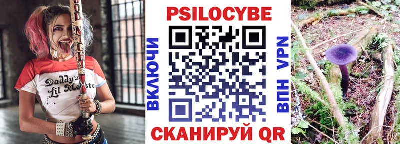 MEGA маркетплейс Чердынь Псилоцибиновые грибы мицелий